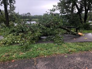 Photo courtesy of the City of Anderson Parks Department
